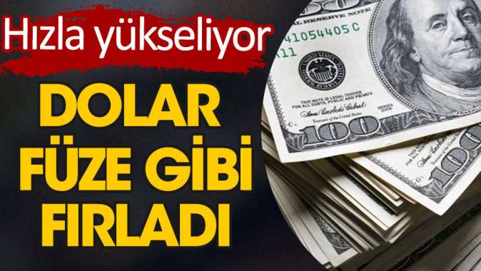 16 lirayı aşan dolar hızla yükseliyor