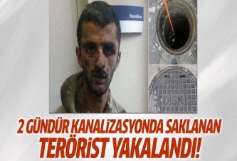 2 gündür kanalizasyonda saklanan terörist yakalandı