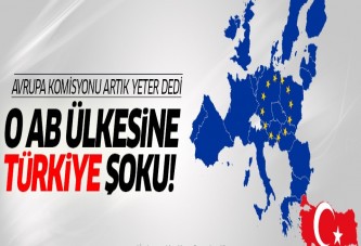 AB Komisyonu, Türkiye için Avusturya'ya dava açtı