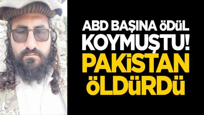 ABD başına ödül koymuştu... Pakistan öldürdü!