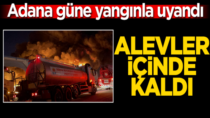 Adana güne yangınla uyandı! Alevler içinde kaldı