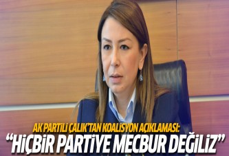 Ak Partili Çalık'tan koalisyon açıklaması