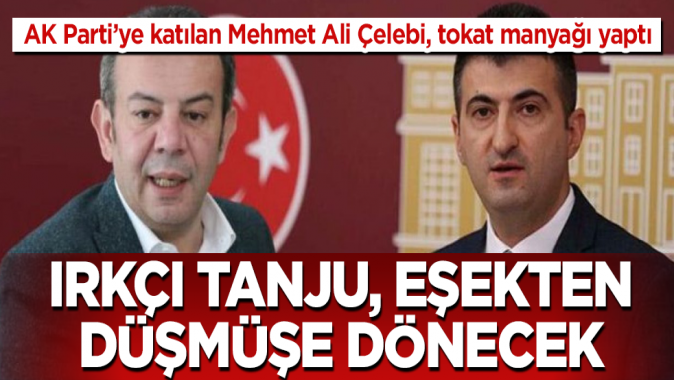 AK Partiye katılan Mehmet Ali Çelebiden ırkçı Tanju Özcana efsane ayar! Eşekten düşmüşe dönecek