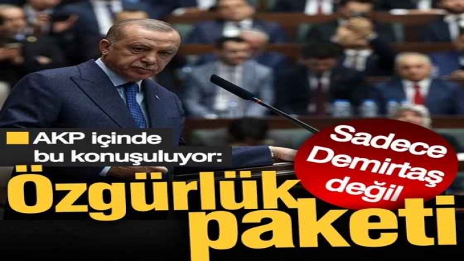 AKP içinde bu konuşuluyor: Özgürlük paketi! Sadece Demirtaş değil