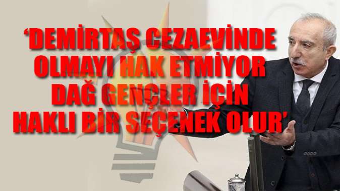 AKP vekilden partisine 'aykırı' çıkış