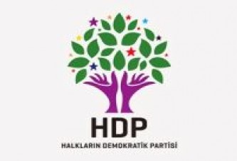 Alınak, HDP'den Adaylığını Açıkladı