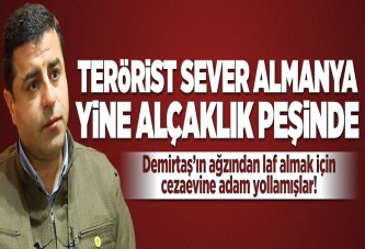 Alman dergisi Demirtaş'tan mesaj istemiş.