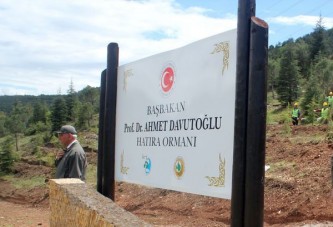 Amasya'da Davutoğlu için hatıra ormanı oluşturuldu