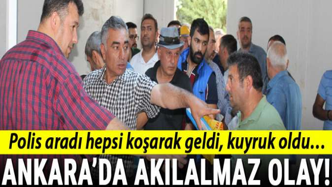 Ankara’da akılalmaz olay! Polis aradı hepsi koşarak geldi, kuyruk oldu…