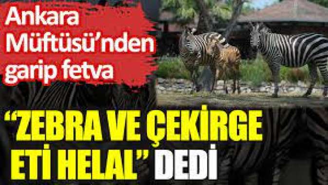 Ankara Müftüsü’nden garip fetva: “Zebra ve çekirge eti helal” dedi