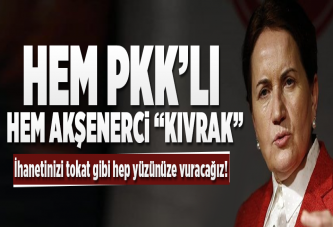 "Artık sizi Erdoğan da elimizden alamaz".