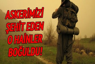 Askerimizi şehit eden PKK'lılar boğuldu!
