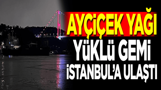 Ayçiçek yağı yüklü gemi İstanbula ulaştı