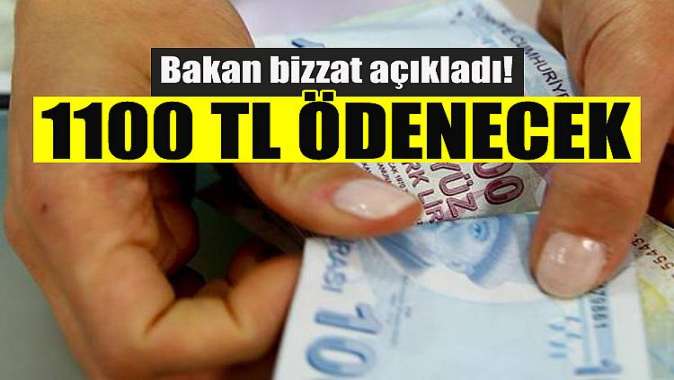 Bakan açıkladı! 1100 TL destek geliyor