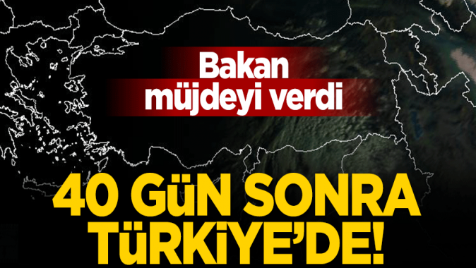 Bakan açıkladı: CoronaVac aşısı 40 gün sonra Türkiyede!