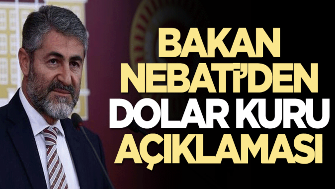 Bakan Nebatiden dolar kuru açıklaması