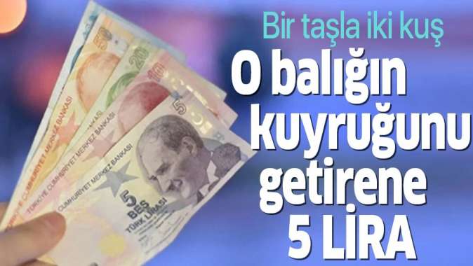 Balon balığı avcılığını desteklemek için her kuyruğa 5 lira ödenecek