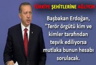 Başbakan: Terörün üzerine kararlılıkla gidilecek