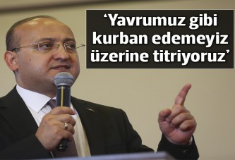 Başbakan Yardımcısı Akdoğan: Çözüm sürecinin üzerine titriyoruz