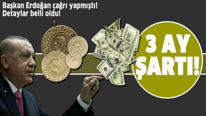 Başkan Erdoğan altın ve dolar çağrısı yapmıştı! Varlık Barışının detayları belli oldu! 3 ay şartıyla vergiler...