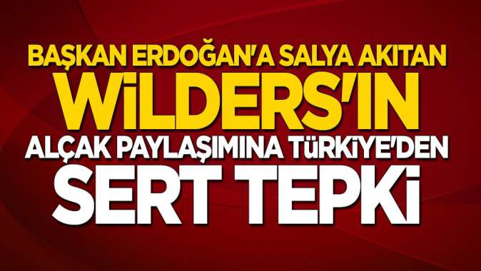 Başkan Erdoğana salya akıtan Wildersa sert tepki