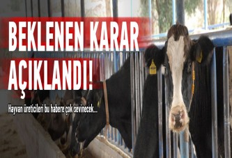 Beklenen karar açıklandı