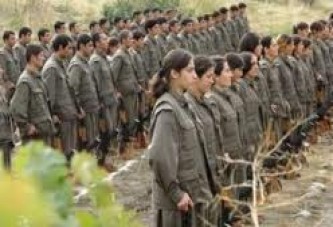 Bingöl'de Terörist Bilançosu : 61 Pkk'lı Etkisiz Hale Getirildi