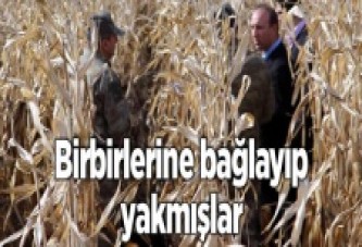 Birbirlerine bağlayıp yakmışlar