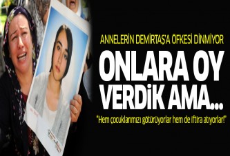 'Biz sadece yüreği yanan anneleriz'