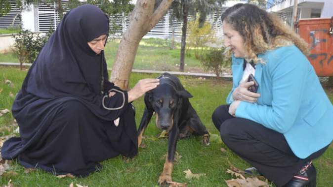 Bobo, ameliyat edilmezse hiç görmeyecek