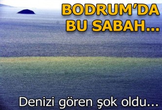 Bodrum'da denizin rengi kahverengi oldu