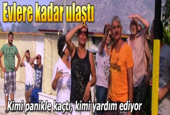 Bodrum'da makilik alanda yangın