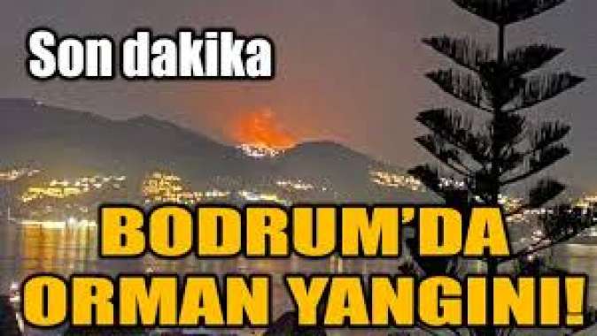 Bodrum'da orman yangını! Müdahale güçlükle sürüyor