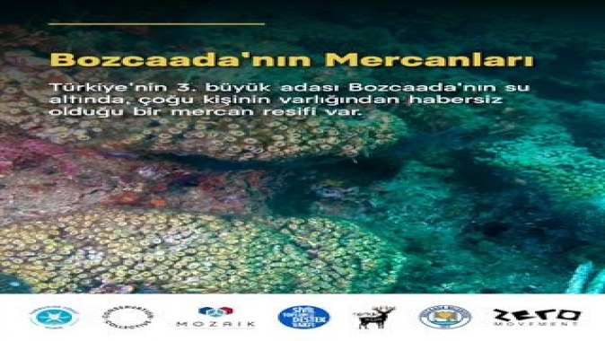 Bozcaadada Kuzey Ege Denizinin İlk Sert Mercan Transplantasyonu Gerçekleştirildi