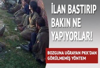 Bozguna uğrayan PKK'dan görülmemiş yöntem! İlanla terörist toplamaya başladılar
