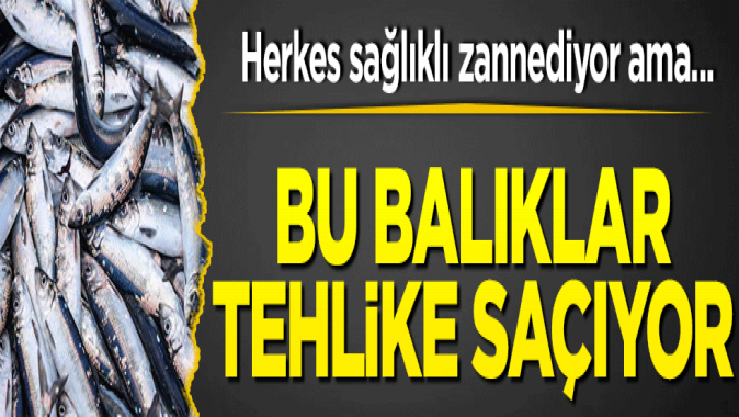 Bu balıklar sağlıklı zannediliyor! Resmen tehlike saçıyor