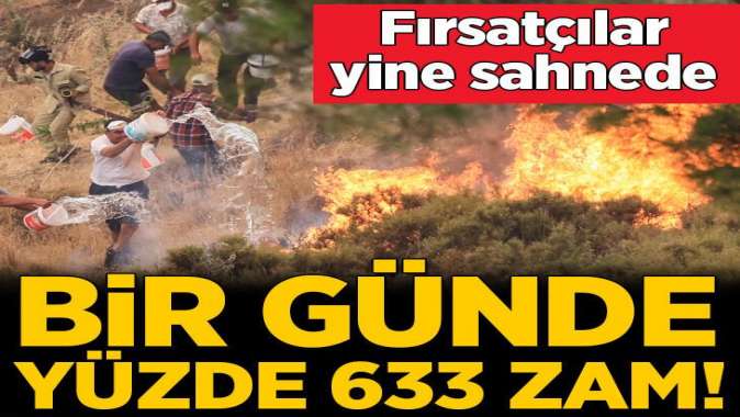 Bu fiyatlar içimizi yaktı! Bir günde yüzde 633 zam...