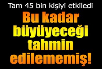 Bu kadar büyüyeceği tahmin edilememiş