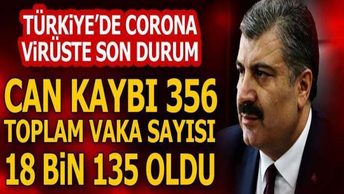 Can kaybı 356'ya yükseldi