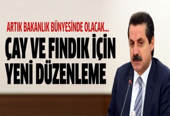 Çay ve Fındık Daire Başkanlığı kuruluyor