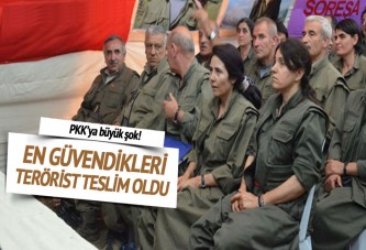 Cemil Bayık'ın en güvendiği terörist teslim oldu