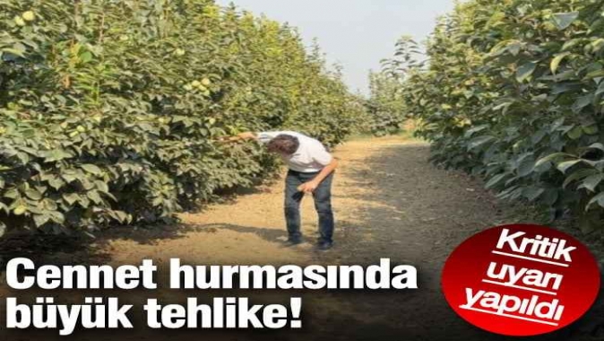 Cennet hurmasında büyük tehlike! Kritik uyarı yapıldı