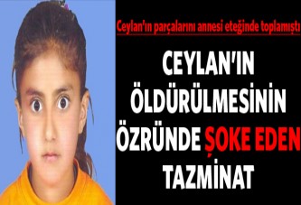 Ceylan'ın öldürülmesinin özrü 28 bin 208 lira