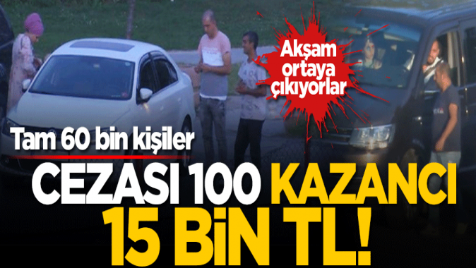 Cezası 100 kazancı 15 bin TL! Akşam ortaya çıkıyorlar