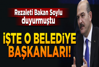 CHP'li belediye başkanları Türkiye'nin yolunu unutmuş!