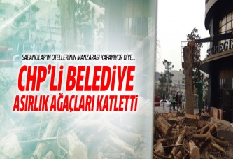 CHP'li belediye Sabancı Holding için asırlık ağaçları katletti