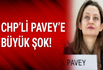 CHP'li Şafak Pavey'in twitter hesabı hacklendi!