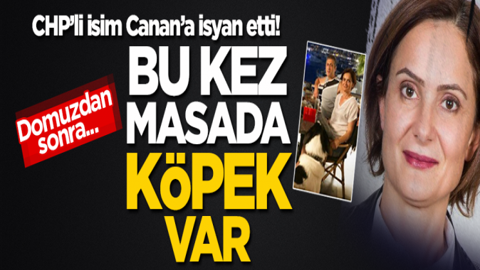 CHPliler Canana isyan etti! Bu kez domuz değil köpek...