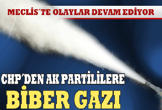 CHP'liler komisyonda AK Partililere biber gazı sıktı