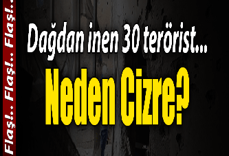 Cizre'ye dağdan 30 terörist geldi
